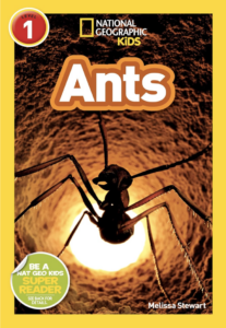 Cover of the National Geographic book, Ants, showing a close-up photograph of an ant crawling across a leaf.